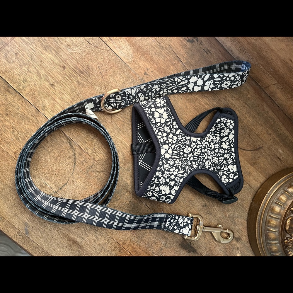 Navy Blue Reversible Dog Harness and Leash- Small